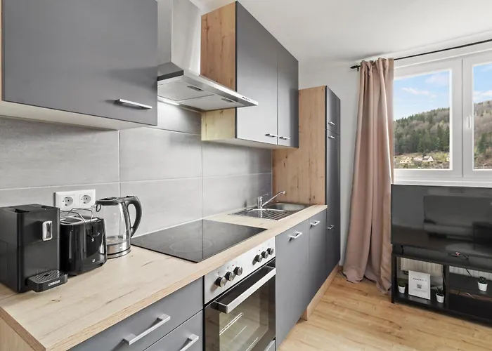 Farawayhomes Leoben #p71 Daire Donawitz